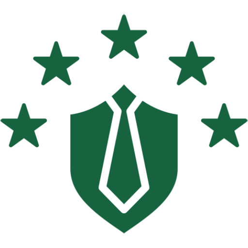 Professional experience